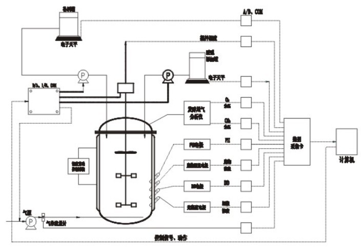 Automatic Biology Fermentation Project Production Line